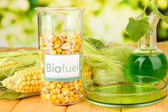 Rhos Y Brithdir biofuel availability